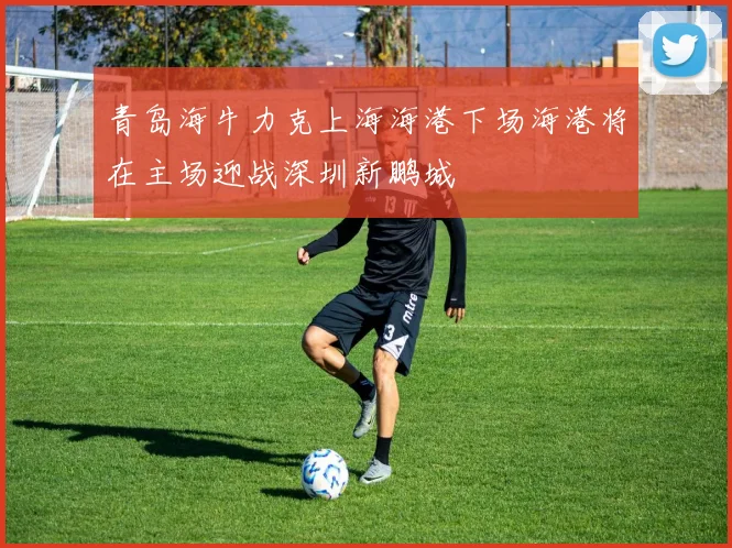 青岛海牛力克上海海港下场海港将在主场迎战深圳新鹏城