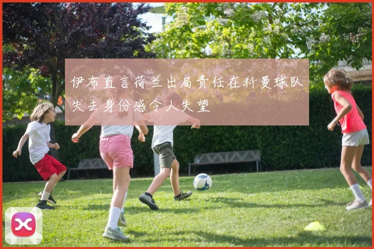 伊布直言荷兰出局责任在科曼球队失去身份感令人失望